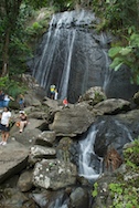 la coca falls, el yunque